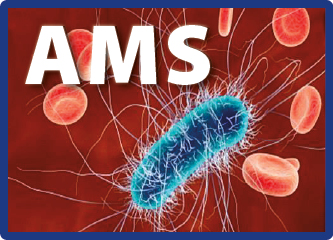 Anti-Microbial Stewardship(AMS) in private practice by Dr Benedict Sim