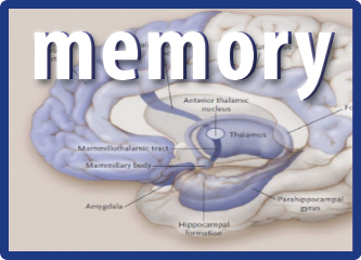 Faltering Memory By Dr Nor Azlina Abu Bakar