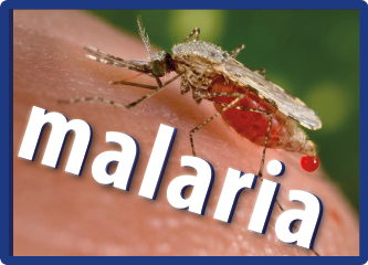 Malaria: Emerging Problems of Plasmodium knowlesi By Prof. Balbir Singh 