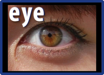 Eye Problems In General Practice By Dr Kewaljit Singh